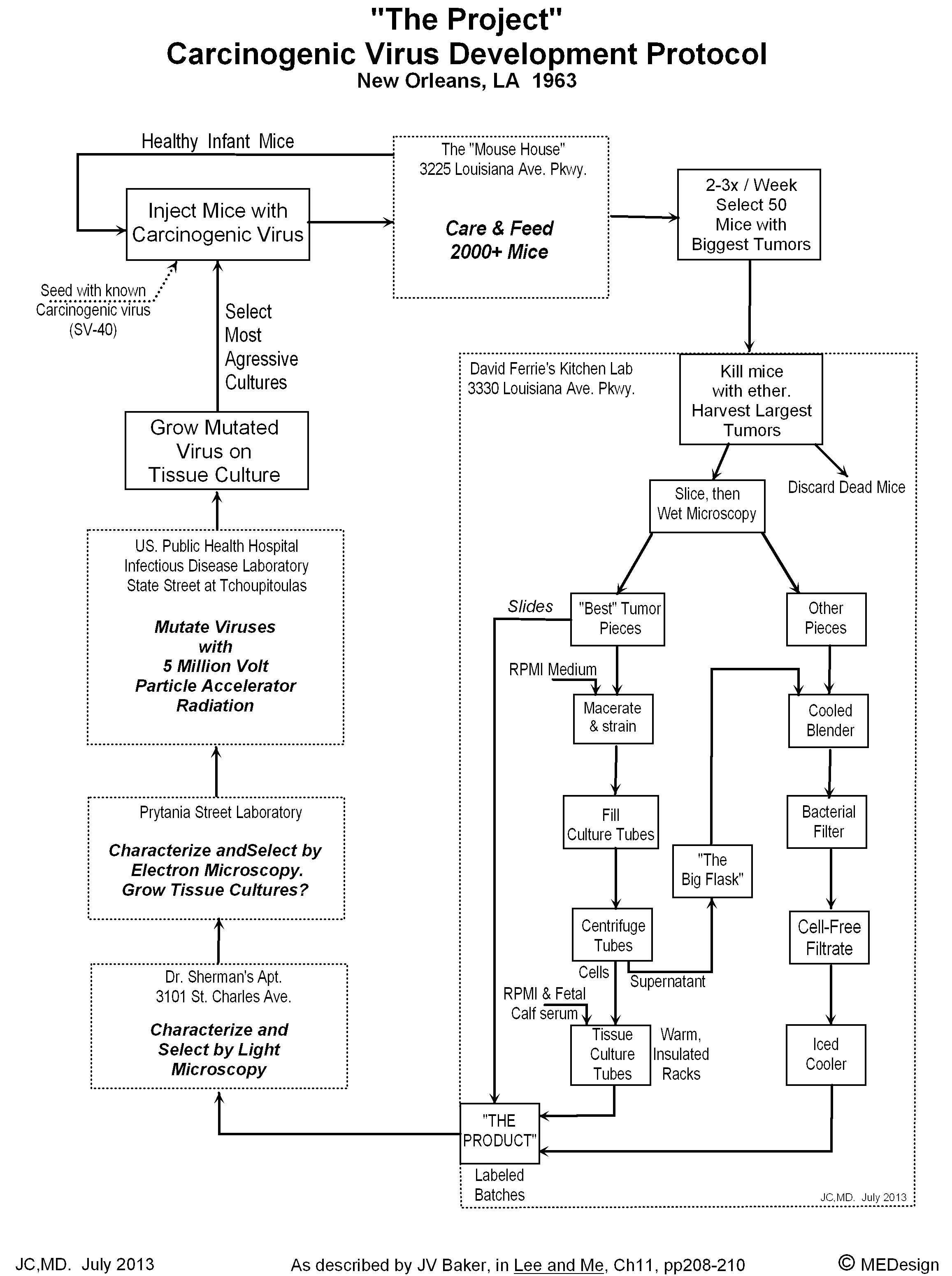 Process Loop for Increasing Viral Carcinogenesis